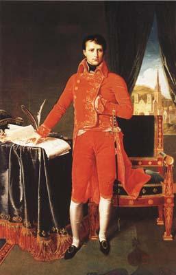 Jean Auguste Dominique Ingres Napoleon Bonaparte in the Uniform of the First Consul (mk04) oil painting picture